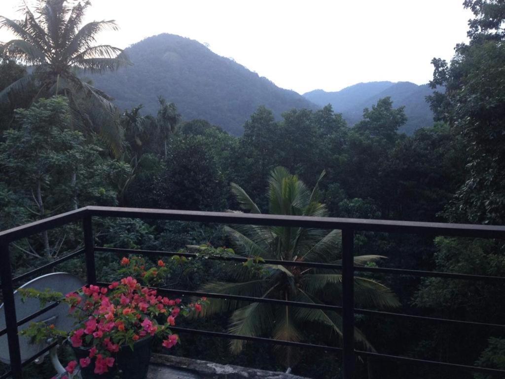 Araliya Home Stay Kandy Exterior photo