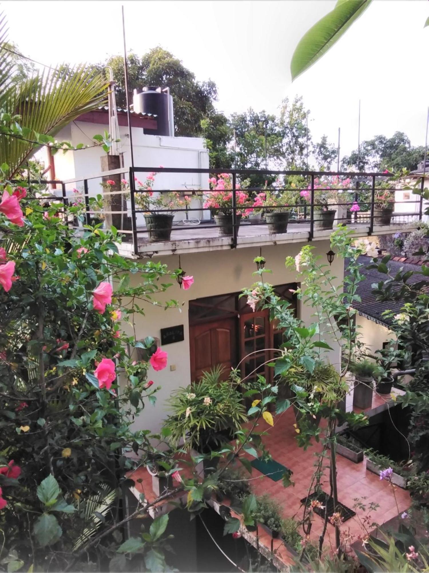 Araliya Home Stay Kandy Exterior photo