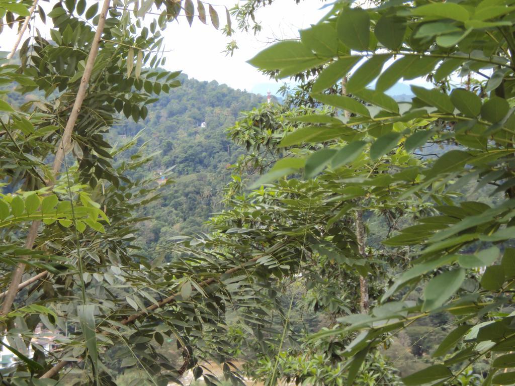 Araliya Home Stay Kandy Exterior photo