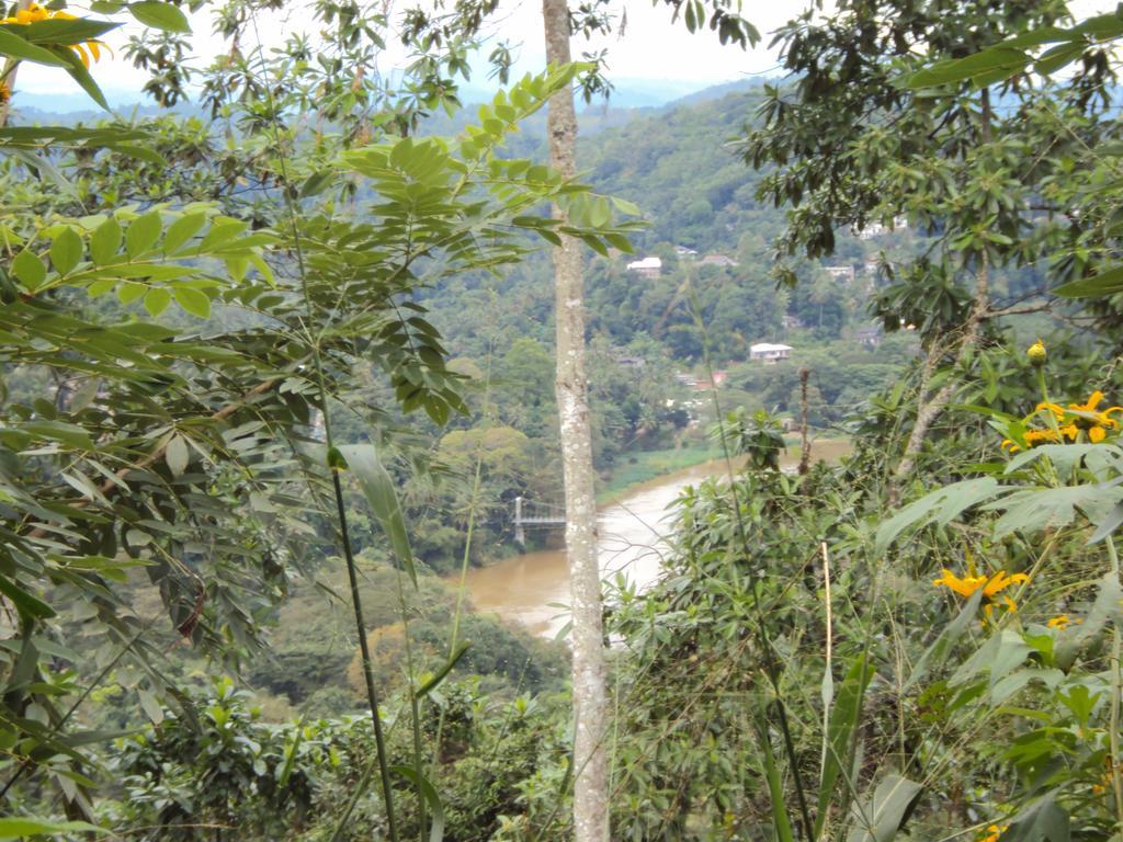 Araliya Home Stay Kandy Exterior photo