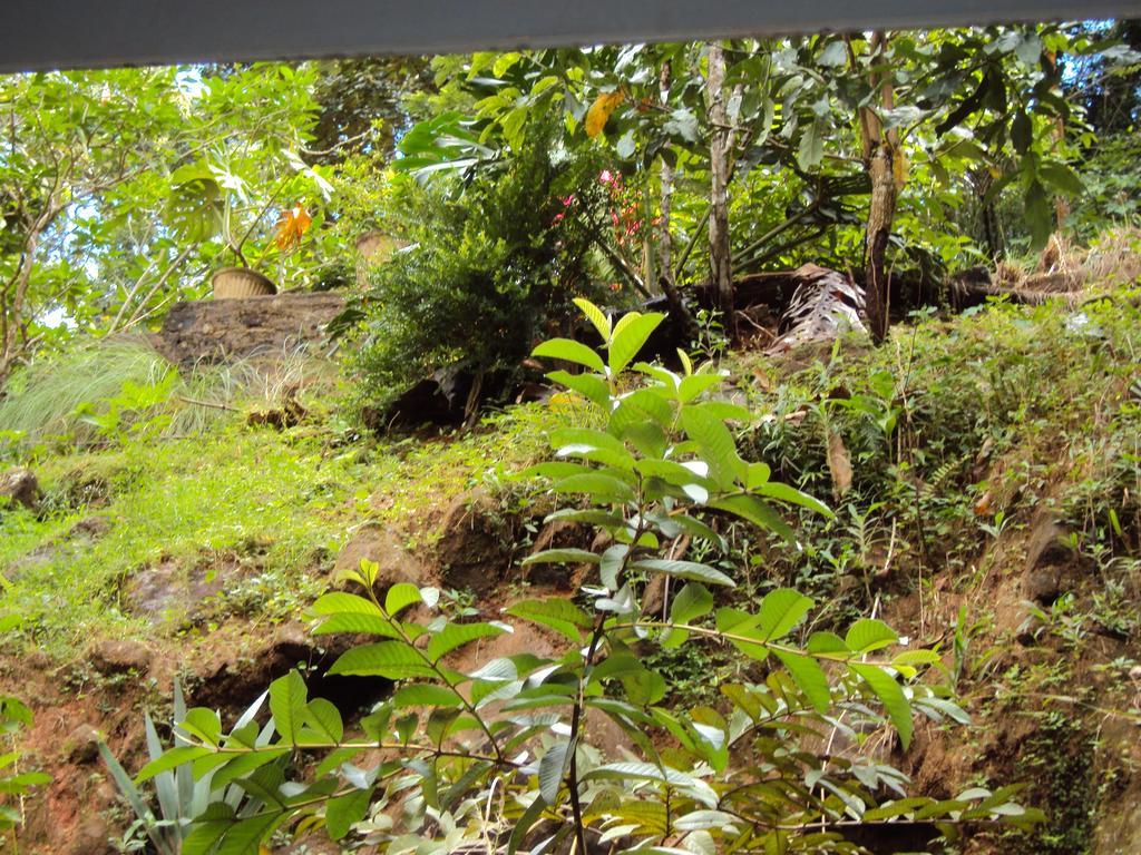 Araliya Home Stay Kandy Exterior photo