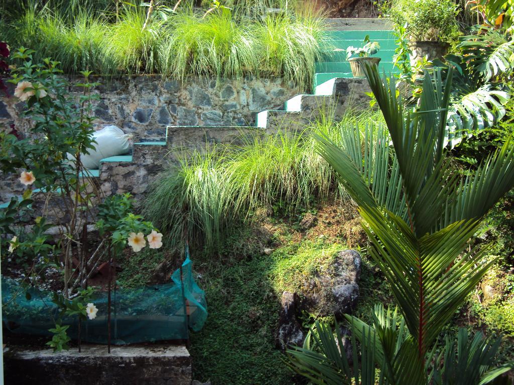 Araliya Home Stay Kandy Exterior photo