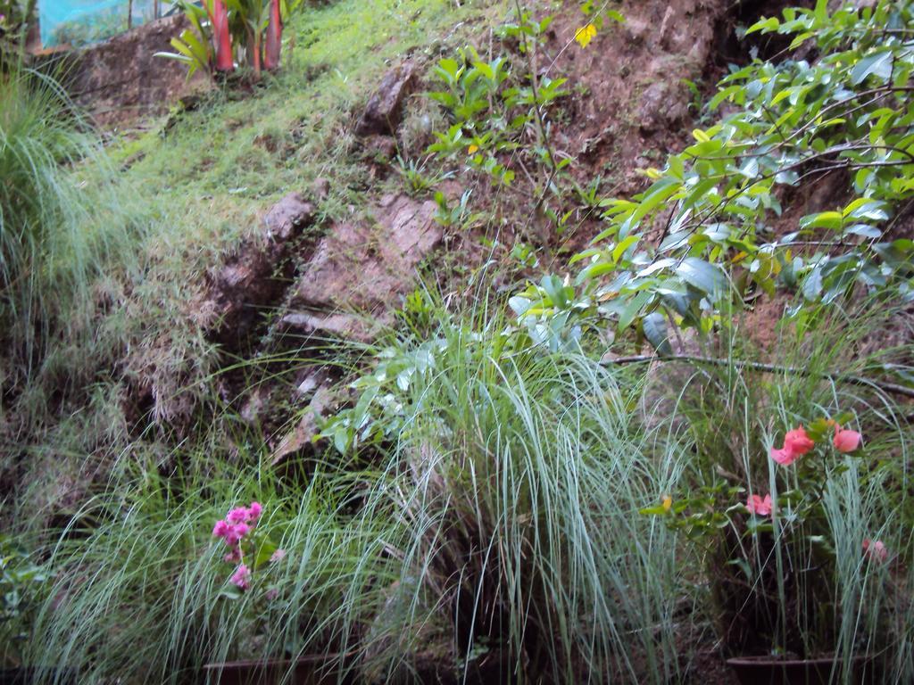 Araliya Home Stay Kandy Exterior photo