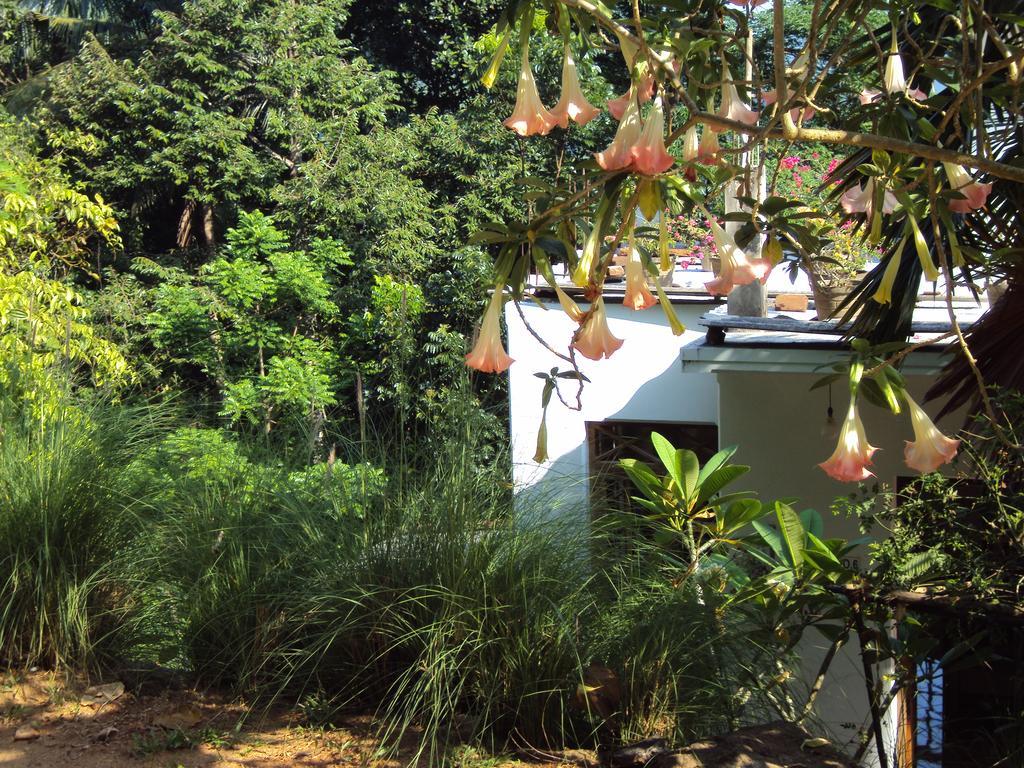 Araliya Home Stay Kandy Exterior photo