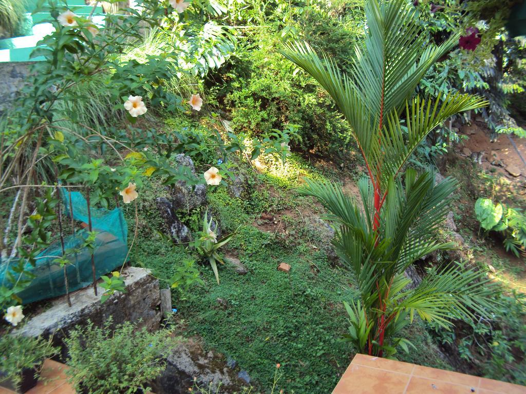 Araliya Home Stay Kandy Exterior photo