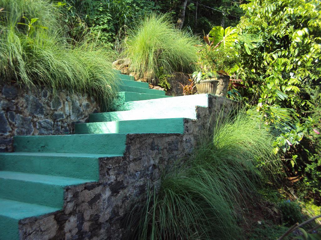 Araliya Home Stay Kandy Exterior photo