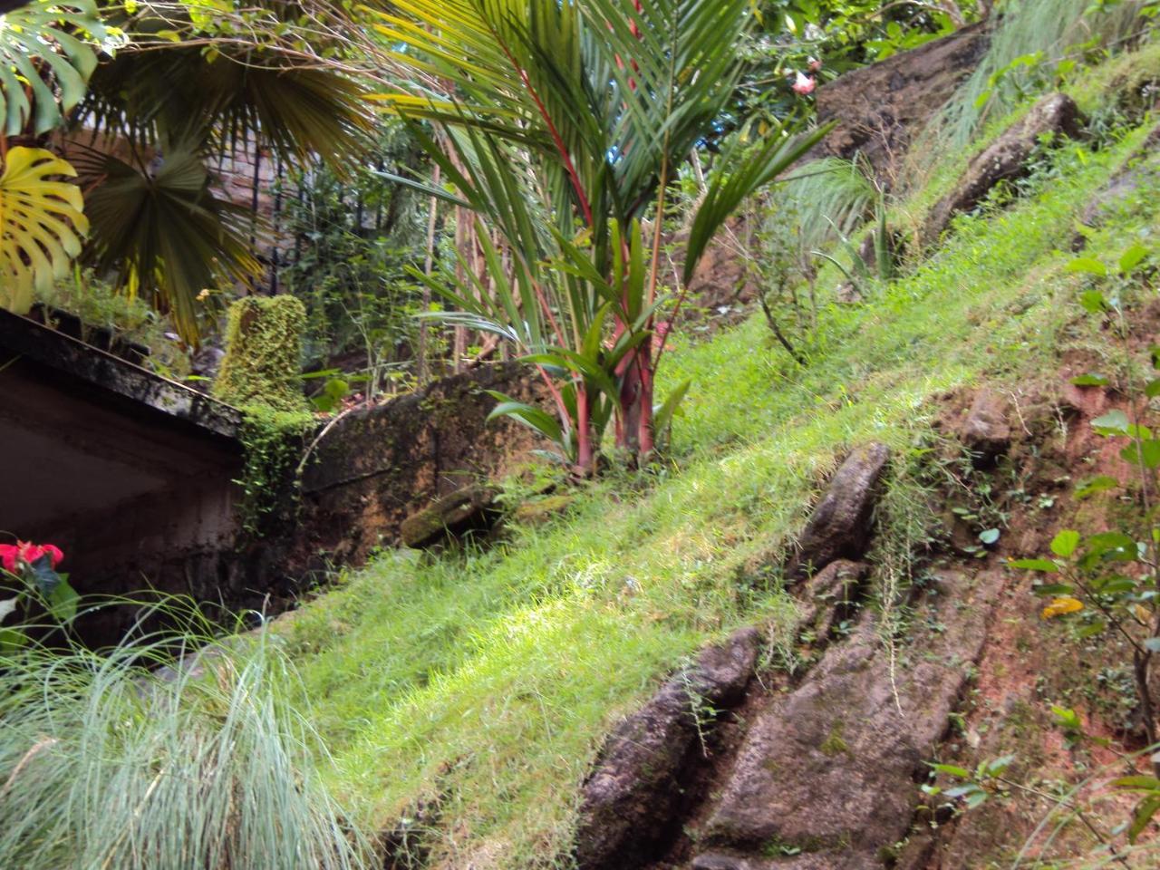 Araliya Home Stay Kandy Exterior photo