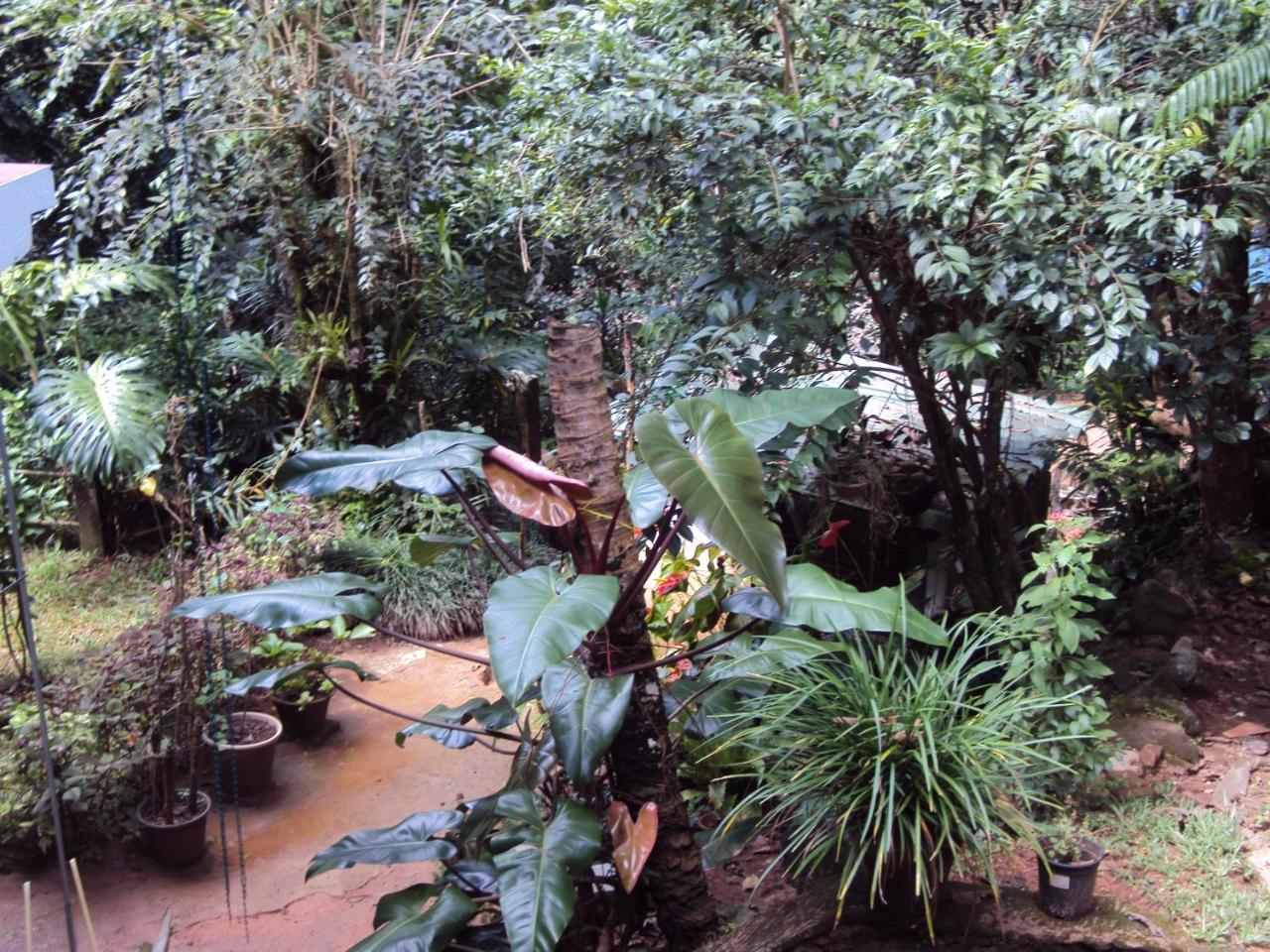 Araliya Home Stay Kandy Exterior photo